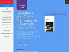 Ocean Life Lesson Plan Ocean Life Lesson Plan