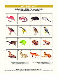 Oddball Out: Animals Lesson Plan Oddball Out: Animals Lesson Plan