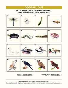 Oddball Out: Plants and Animals Lesson Plan Oddball Out: Plants and Animals Lesson Plan