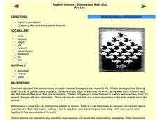 Optical Illusions Lesson Plan Optical Illusions Lesson Plan