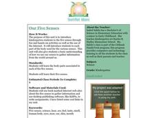 Our Five Senses Lesson Plan Our Five Senses Lesson Plan