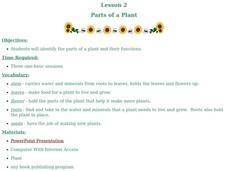 Parts of a Plant Lesson Plan Parts of a Plant Lesson Plan