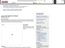 Patterns in Nature Lesson Plan Patterns in Nature Lesson Plan