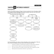 Patterns of Heredity Organizer Patterns of Heredity Organizer
