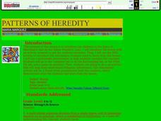 Patterns of Heredity Lesson Plan Patterns of Heredity Lesson Plan