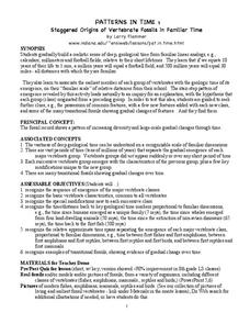 Patterns In Time Lesson Plan Patterns In Time Lesson Plan