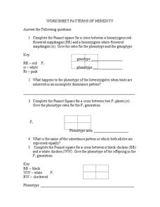 Pedigree chart critical thinking