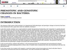 Phenotypic and Genotypic Changes in Bacteria Lesson Plan Phenotypic and Genotypic Changes in Bacteria Lesson Plan