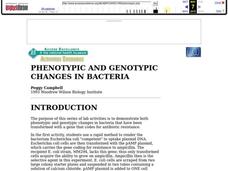PHENOTYPIC AND GENOTYPIC CHANGES IN BACTERIA Lesson Plan PHENOTYPIC AND GENOTYPIC CHANGES IN BACTERIA Lesson Plan