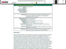 Photosynthesis Lesson Plan Photosynthesis Lesson Plan