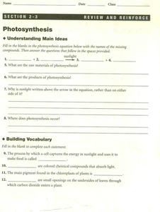 Photosynthesis Worksheet Photosynthesis Worksheet