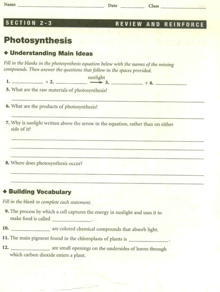Photosynthesis Worksheet Photosynthesis Worksheet