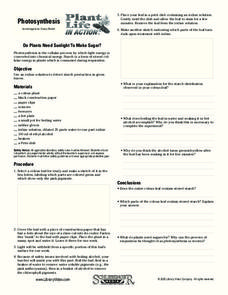 Photosynthesis Worksheet Photosynthesis Worksheet