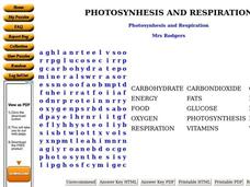 Photosynthesis and Respiration Worksheet Photosynthesis and Respiration Worksheet
