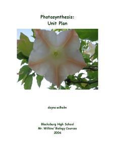 Photosynthesis Unit Plan Photosynthesis Unit Plan