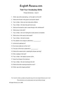 Picture Dictionary Worksheet Picture Dictionary Worksheet