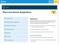 Plant and Animal Adaptations Lesson Plan Plant and Animal Adaptations Lesson Plan