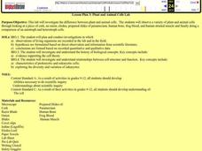 Plant and Animal Cells Lesson Plan Plant and Animal Cells Lesson Plan