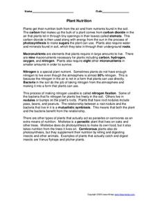 Plant Nutrition Worksheet Plant Nutrition Worksheet