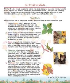 Plant Parts Lesson Plan Plant Parts Lesson Plan