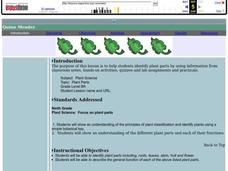 Plant Parts Lesson Plan Plant Parts Lesson Plan