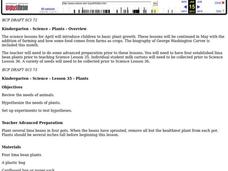 Plants Lesson Plan Plants Lesson Plan