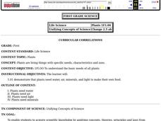 Plants Lesson Plan Plants Lesson Plan