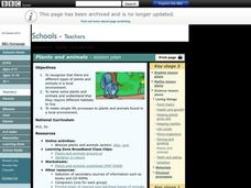 Plants and Animals Lesson Plan Plants and Animals Lesson Plan