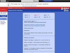 Plants And Animals in the Local Environment Lesson Plan Plants And Animals in the Local Environment Lesson Plan