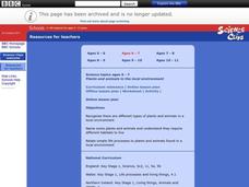Plants and Animals in the Local Environment Lesson Plan Plants and Animals in the Local Environment Lesson Plan