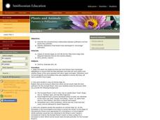 Plants and Animals: Partners in Pollination Lesson Plan Plants and Animals: Partners in Pollination Lesson Plan