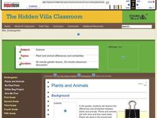 Plants and Animals Lesson Plan Plants and Animals Lesson Plan