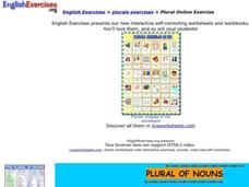 Plurals Interactive Plurals Interactive