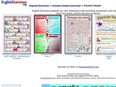Present Simple Interactive Present Simple Interactive