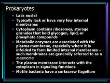 Prokaryotes PPT Prokaryotes PPT