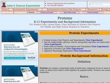 Proteins Lesson Plan Proteins Lesson Plan