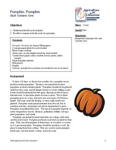 Pumpkin, Pumpkin Lesson Plan Pumpkin, Pumpkin Lesson Plan