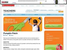 Pumpkin Patch Lesson Plan Pumpkin Patch Lesson Plan