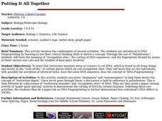 Putting It All Together Lesson Plan Putting It All Together Lesson Plan