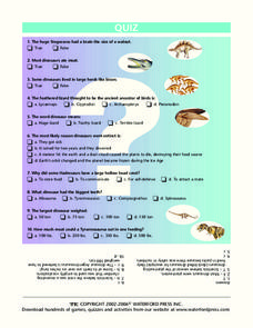Quiz Lesson Plan Quiz Lesson Plan