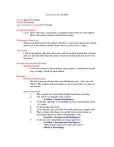 Rain Forest Birds  Lesson Plan Rain Forest Birds  Lesson Plan