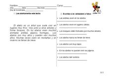 Reading Comprehension Worksheet Reading Comprehension Worksheet