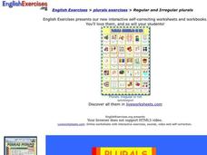 Regular and Irregular Plurals Interactive Regular and Irregular Plurals Interactive
