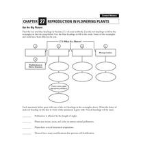Reproduction in Flowering Plants Organizer Reproduction in Flowering Plants Organizer