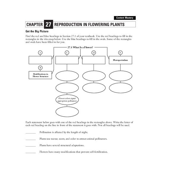 Reproduction in Flowering Plants Organizer Reproduction in Flowering Plants Organizer