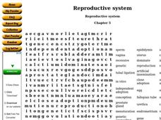 Reproductive System Worksheet Reproductive System Worksheet