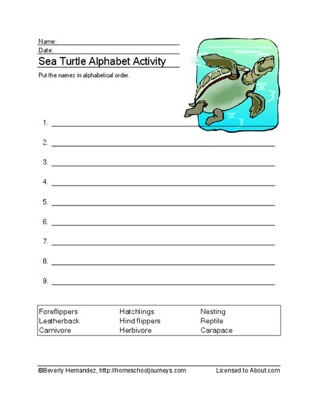 Sea Turtle Alphabet Activity Worksheet Sea Turtle Alphabet Activity Worksheet