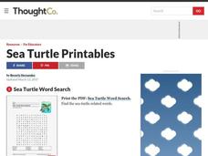 Sea Turtle Alphabet Activity Worksheet Sea Turtle Alphabet Activity Worksheet