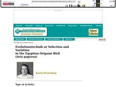 Selection and Variation in the Egyptian Origami Bird Lesson Plan Selection and Variation in the Egyptian Origami Bird Lesson Plan