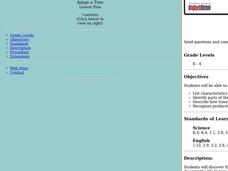 Adopt A Tree Lesson Plan Adopt A Tree Lesson Plan
